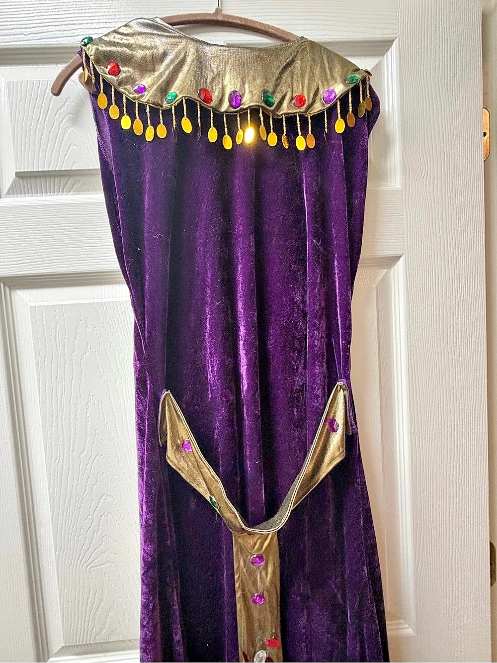 Purple & Gold Velvet Maxi Dress Size XL